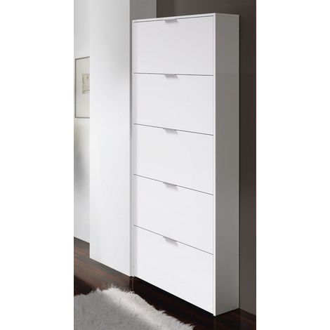 Zapatero 5 puertas abatible (1/3)
