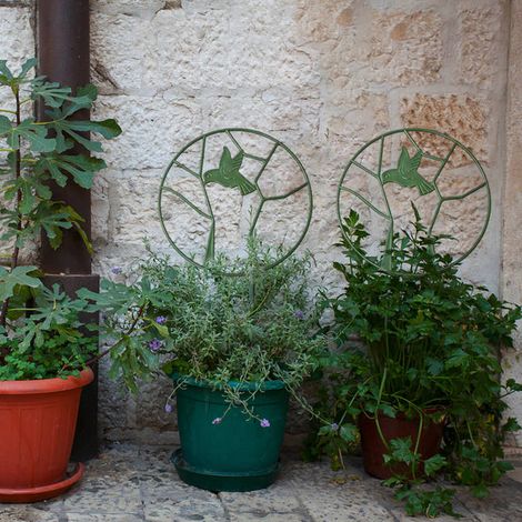 Treillis pour plantes grimpantes, treillis rond en fer avec revêtement antirouille, support pour plantes (1/4)