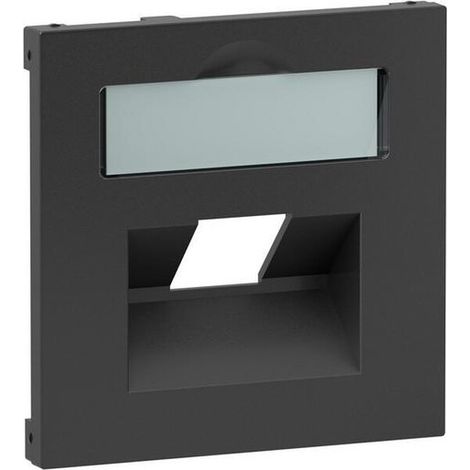 Legrand ABD.1X RJ45 F.DATENDOSEN FREMD (765458 SEANO)