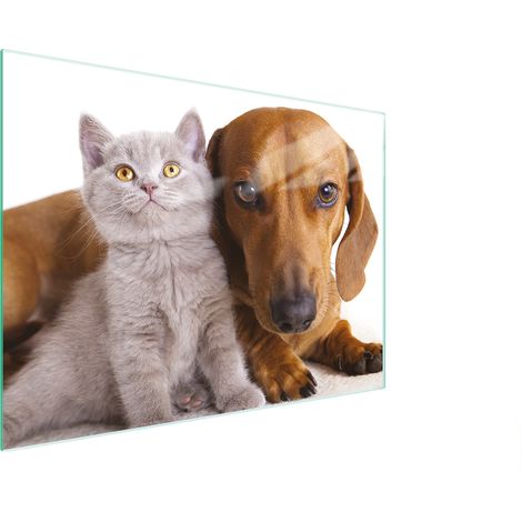 Glasschneidebrett 30x22 Tiere (1/5)