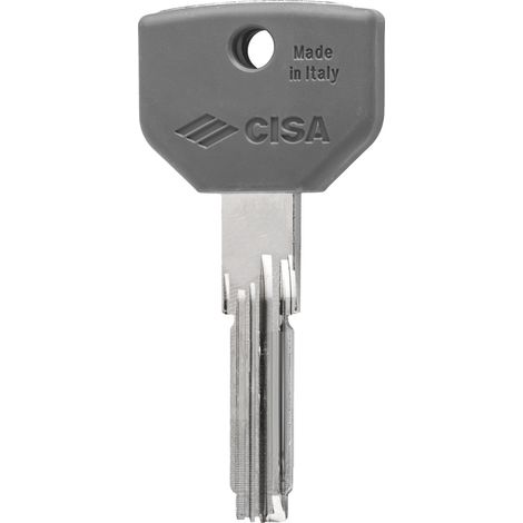 Cisa CHIAVE GREZZA PER CILINDRO ASIX P8 PRO 5.00 pz