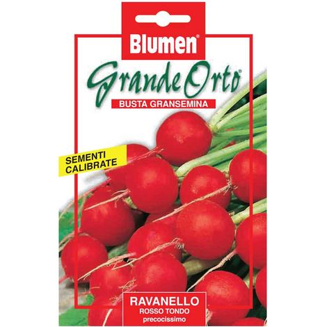 SEMI RAVANELLO TONDO ROSSO PRECOCISSIMO BLUMEN