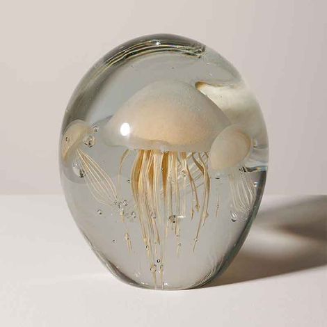 Sulfure méduse crème verre 16x13x13cm (1/3)