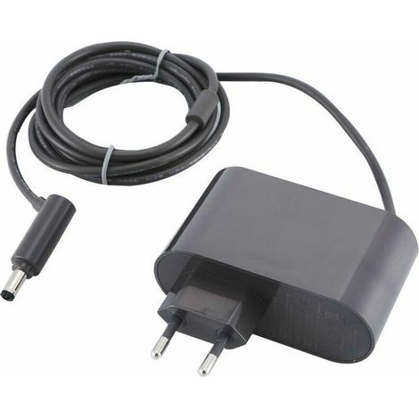 Chargeur pour Dyson V6 V7 V8 DC58 DC59 DC61 DC62 SV03 SV04 SV05 SV06 SV07, Aspirateur AC Adaptateurs, Input 100240V, Output 26.1V, Fontainebleau (1/5)