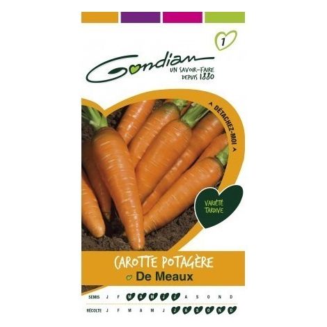 Gondian - Carotte Potagère de Meaux Orange