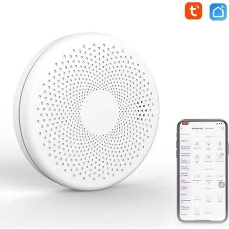 Détecteur de fumée et de monoxyde de carbone intelligent Tuya WiFi 2-en-1 avec alarme sonore et lumineuse clignotante en cas de présence de CO (1/4)