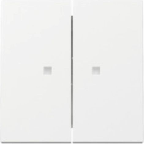 Gira Wippe 2f Kontrollf. System 55 Reinweiß [363103], 3631 03 (1/5)