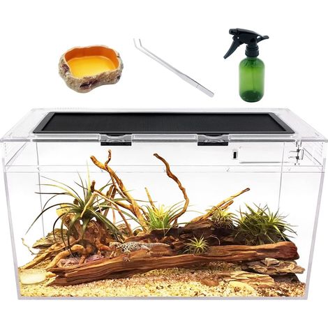1 Terrarium PC 50x25x28cm, Vue 360 Degrés, Couvercle Aéré, Pour Gecko Dragon Lézard