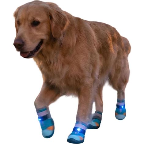 Chaussures lumineuses pour chats Respirantes et Antidérapantes pour Animaux Bottes Qui Brillent pour Pattes pour Promenade , Sécurité en Été, Entraînement sur Sol Chaud