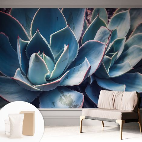 Papier peint décoratif avec colle pour mur dans salon chambre entrée et plus Solution de décoration facile à installer Aloès vert 312x219 cm (1/5)