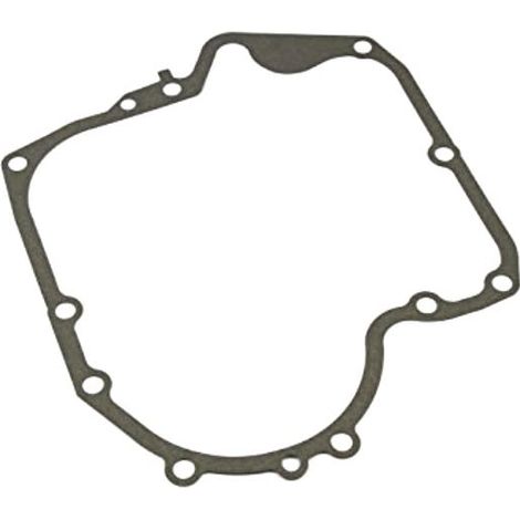 Joint de carter 697110 - moteur de tondeuse briggs & stratton