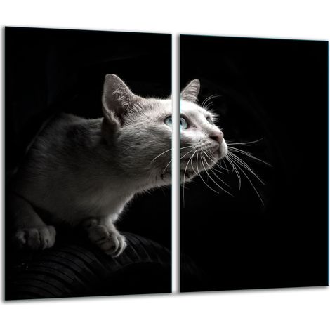 Glasschneidebrett 2x 30x52 CAT (1/5)