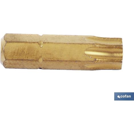 Embout Titane 1/4 25 mm T-30