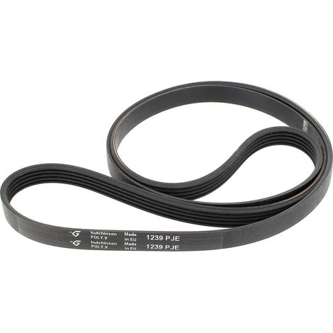Cinturón 1238j4 = 1239j5 481235818215 as0040048 - lavadora