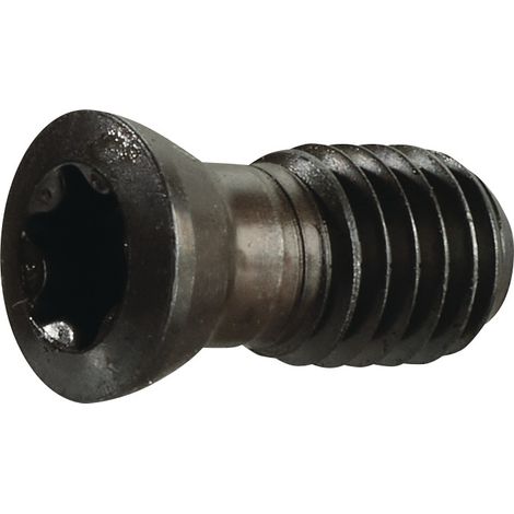 TECWERK Spannschraube US 4511 Gr.T20 f.SEKT/SEET 1204 z.Planfräser TECWERK