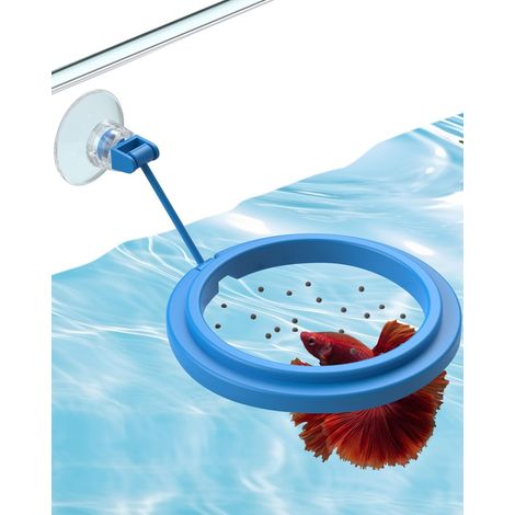 Anello di alimentazione per acquario con ventosa, piccolo anello rotondo per l'alimentazione di pesci Betta, pesci rossi, guppy e tartarughe.