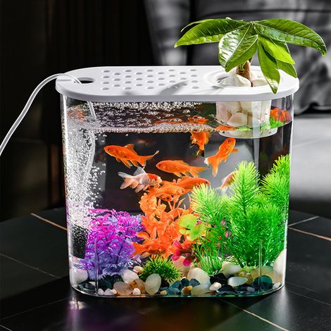 Bowl À Poissons - Aquarium En Plastique Transparent - Pour Décoration Intérieure Et Hydroponie - Dimensions 32 X 28,5 X 14,5 Cm - 1 Pièce (1/5)