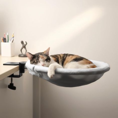 Réveil numérique à double alarme – Volume et luminosité réglables – Écran LED multicolore avec veilleuse – Fonction snooze et sauvegarde de la mémoire – Noir (1/5)