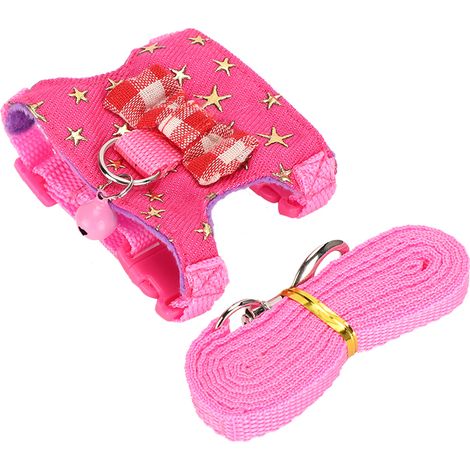 Harnais de promenade pour petits animaux, gilet et laisse, sangle de poitrine pour furet, chinchilla, écureuil, accessoires pour animaux de compagnie (taille M). (1/5)