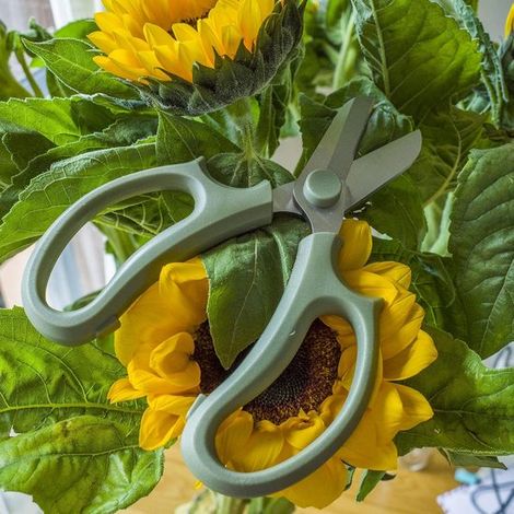 Forbici da fiori: Forbici da fiori di alta qualità, extra spesse, realizzate in acciaio inossidabile robuste forbici da giardino per tagliare fiori, rami e foglie (sottili) (1/5)