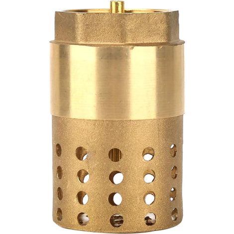 Clapet anti-retour en laiton à filetage femelle unidirectionnel, clapet anti-retour à maille avec trous, filtre de crépine DN25 pour système de chauffe-eau électrique (1/5)