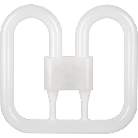 lampe LED 2D culot G10Q 2700K 12,5 W