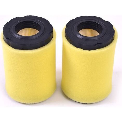 2 pezzi 591334 Filtro aria, ricambio DE per Briggs & Stratton 796031 549201 797404 Cartuccia filtro aria, filtro aria per tosaerba (1/5)