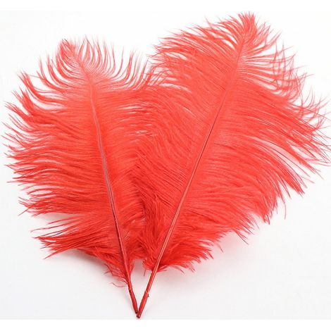 Plumes D Autruche Naturelles - 32 Cm - Pour Centres De Table De Mariage Décoration Intérieure Arrangements Floraux DIY - 1 Pièce (1/5)