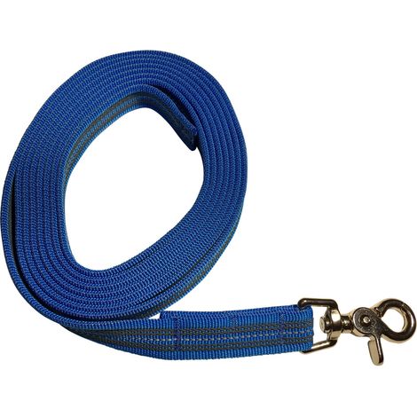 Laisse caoutchoutée avec bandes réfléchissantes 3 m sans dragonne Orange bleu ou violet (1/3)