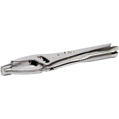 Pince Etau 4 Positions 250Mm Irimo