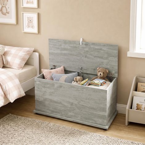 Gain de Place et Assise Banc de Rangement Coffre avec Couvercle 80 x 40 x 45 cm Gris pour Chambre et Salon (1/5)