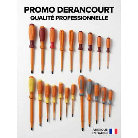 Pack de 20 tournevis isolés 1000V qualité pro manche bi-matière lame acier chromé DERANCOURT