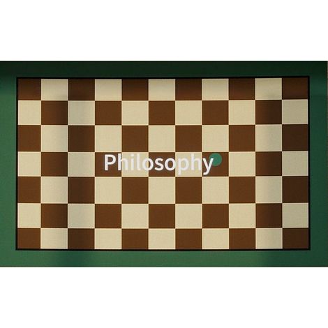 Tapis de sol absorbant en tissu technique, antidérapant, pour porte de salle de bain et toilettes, facile à sécher.