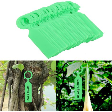 100 Étiquettes Vertes en Plastique Suspendues pour Plantes Arbres Pépinière Jardin Décoration (1/5)