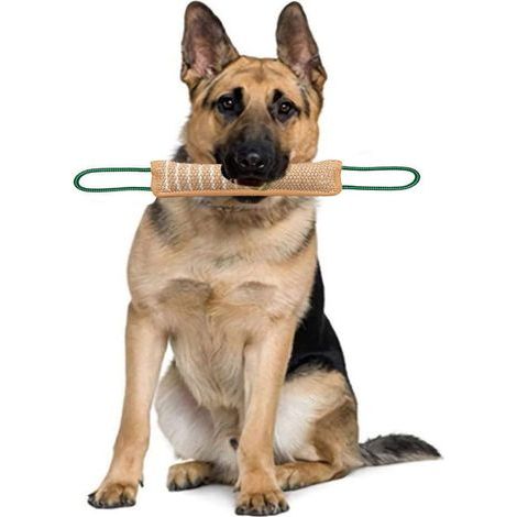 Boudin à Mordre en Jute pour Chien. Jouet Durable et Interactif. Idéal pour Tir à la Corde (1/4)