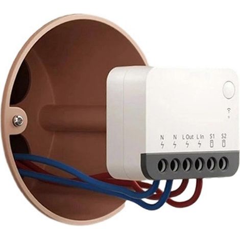 Interrupteur Zigbee Extreme Zbmini R2 avec relais détachable et télécommande via EWeLink compatible (1/5)