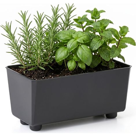 Jardinière Rectangulaire avec Pieds Élégants – Bac À Fleurs Noir en Plastique Robuste 28,5 x 17 cm, 4,2L – Résistant Aux Intempéries (1/5)