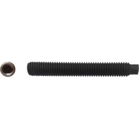 100 Vis Sans Tête 6 Pans Creux à Bout Téton STHC 12 x 25 mm - DIN 915 - 45H - Brut - D-Work