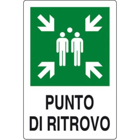TARGA PUNTO DI RITROVO 300X200 ALLUMINIO NORMA EU