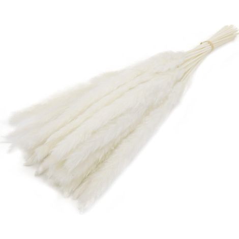 Pampas Grass - 30 Pieces - 43 Cm - Natural Dried Decorative Grass - For Wedding Home Party Christmas Decoration (1/5)