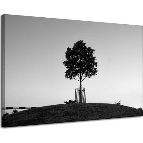 Leinwanddruck Natur Baum Schwarz-Weiß 120x80