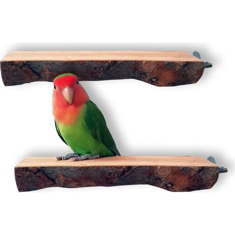 Perchoirs Bois Naturel Perroquet Support Jeu Plat Oiseaux Petite Moyenne Taille (1/5)