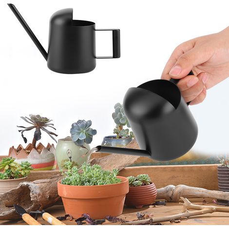 300 ml Gießkanne aus schwarzem Edelstahl mit langem Ausguss für Zimmer- und Gartenpflanzen (1/5)