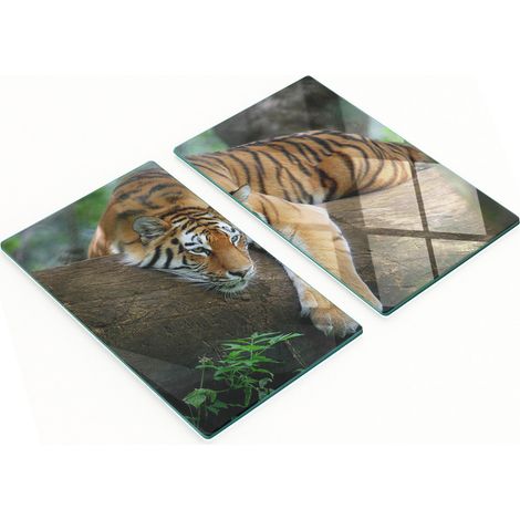 Tableaux décoratifs multifonctionnels en verre, motif tigre sur un arbre, 2 x 30 x 52 cm (1/5)