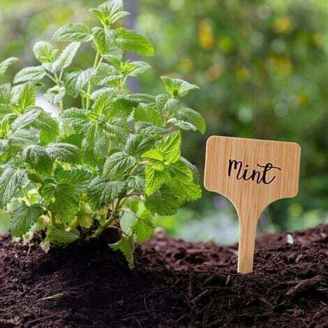 NALOOKAMIC  Lot de 50 étiquettes en bambou pour plantes de jardin, 10 x 6 cm, étiquettes durables en forme de T, étiquettes pour potager de jardin, serre, pot de graines, fleurs, herbes