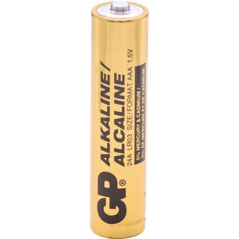 GP GPIND24AB Batteria Ministilo (AAA) Alcalina/manganese 1.5 V 1000 pz.