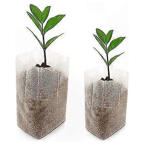 Sacs de culture en tissu non tissé écologique, lot de 200, parfaits pour semis et croissance des plantes (tailles 10 x 12 cm & 14 x 16 cm) (1/5)