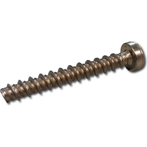 Schneidschraube 7 x 48,4 mm für Speck BADU 90/7, BADU 90/11 & BADU 90/13 (1/2)