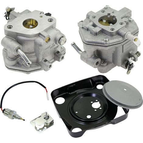 Carburatore BRIGGS &ampamp STRATTON -809019