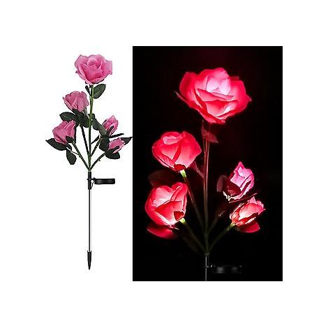Lampe solaire décorative en forme de rose à 5 têtes pour jardin extérieur (rose) (1/2)